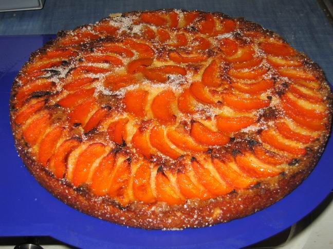 Рецепты пирога с абрикосами Рецепты пирога с абрикосами