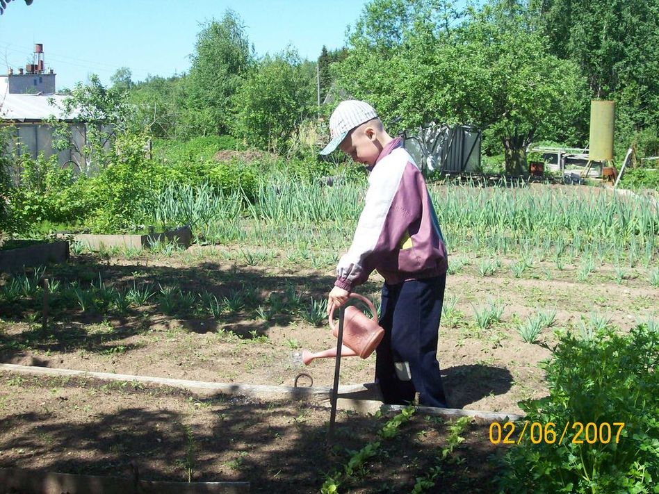 Глоксиния - уход и выращивание, период покоя, хранение клубней Когда сажать лук в 2018 году по лунному календарю