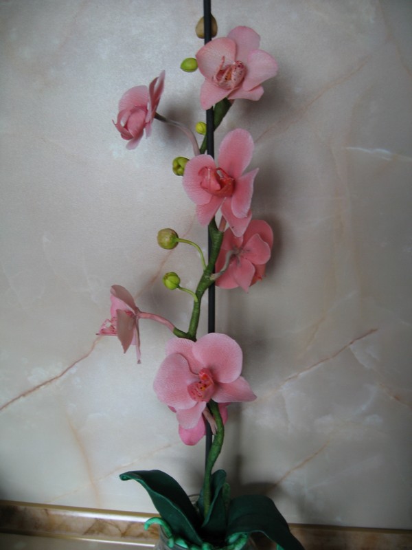 Орхидеи мастер класс холодный фарфор фото Орхидеи мастер класс холодный фарфор фото
